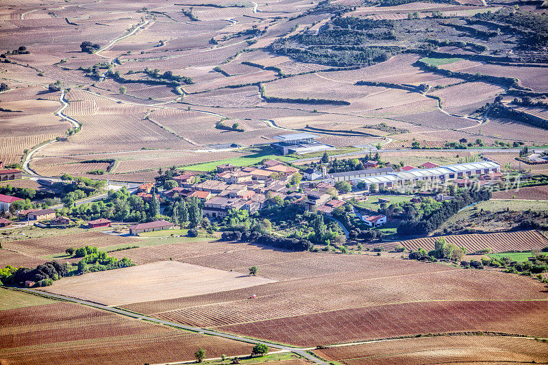 西班牙巴斯克地区里奥哈·阿拉维萨(Rioja Alavesa)春季葡萄园